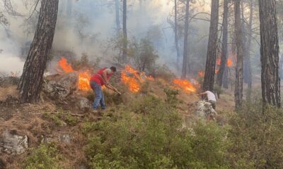Seydikemer yangını kontrol altına alındı