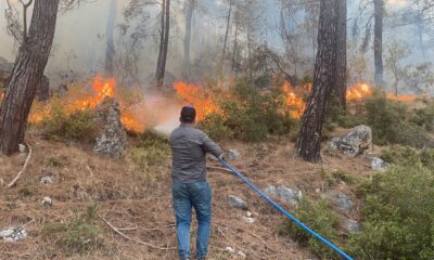 Seydikemer yangını rüzgarın şiddeti ile büyüyor