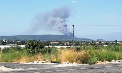 Seydikemer’de orman yangını