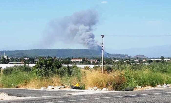 Seydikemer’de orman yangını
