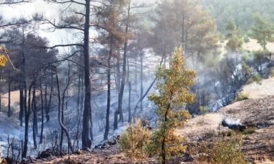 Vatandaş desteğiyle yangın kontrol altına alındı