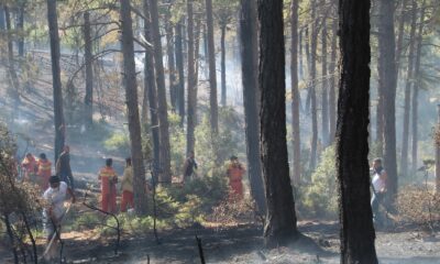 Vatandaşların kazma küreklerle koştuğu orman yangını söndürüldü