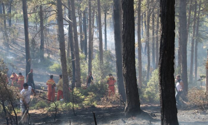 Vatandaşların kazma küreklerle koştuğu orman yangını söndürüldü