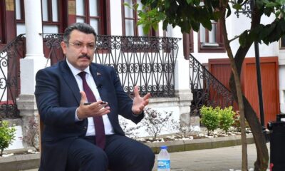 Yanan ormanları yeşertmek için harekete geçildi