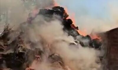 Yangın ormanlık alana sıçramadan söndürüldü