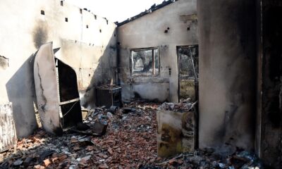 Yunanistan’da orman yangınlarıyla mücadele sürüyor