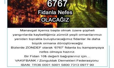 ZONDEF’ten “6767” fidan kampanyası
