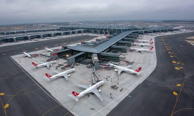 Sabiha Gökçen’de yolcu uçağı piste giren tavşana çarptı! İki uçak pisti pas geçti