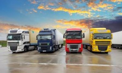 En Kaliteli Malatya Ambarı Tavsiyesi