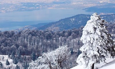 Uludağ ve Kartepe: Doğanın Kucağında Unutulmaz Bir Tur
