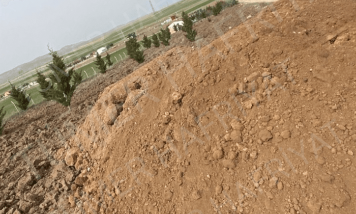 BAHÇE TOPRAĞINDA BULUNMASI GEREKEN İZ ELEMENTLER NELERDİR?