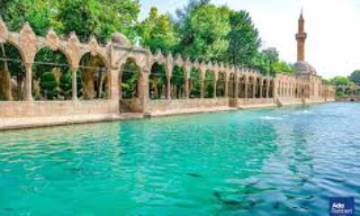 Güvenilir Şanlıurfa Ambar Taşımacılığı için Zirve Ambar