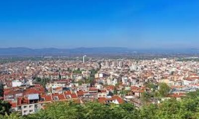 Zirve Ambar ile Manisa’da Kapsamlı Lojistik Hizmetler