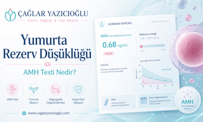 Yumurta Rezervi Nedir?