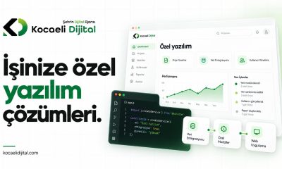 Kocaeli Web Tasarım Firması: Doğru Partneri Seçme Rehberi