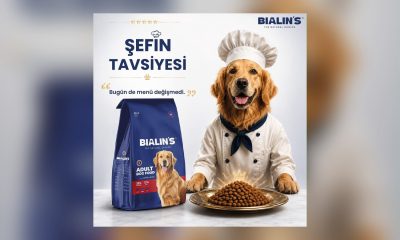 Bialin’s ile Kedi ve Köpekler İçin Doğal ve Yüksek Proteinli Beslenme Dönemi Başladı